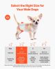 VEVOR Disposable Male Dog Diapers Super Absorbent Male Dog Wraps XS 144 Count