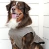 Alpine Tuf Terrain Dog Coat