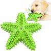 Dog Toy Molar Stick Leaking Food Dog Toothbrush