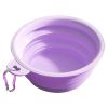Macaron Color Portable Foldable Travel Bowl for Cats Dogs Lightweight Space-Saving Pet Feeding Drinking Outdoor Use 350ml