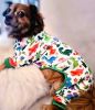 Soft Dog Pajamas