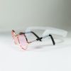 Pet Sunglasses